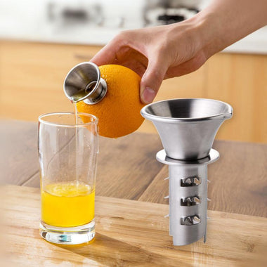 Sturdy  Steel Juicer