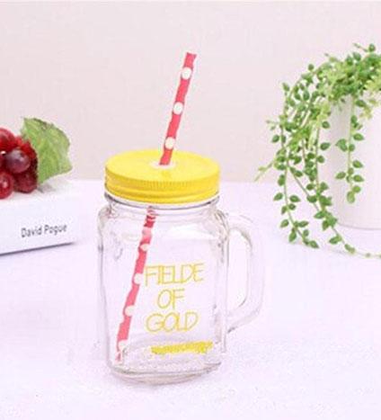 Insulated Juicer Mug